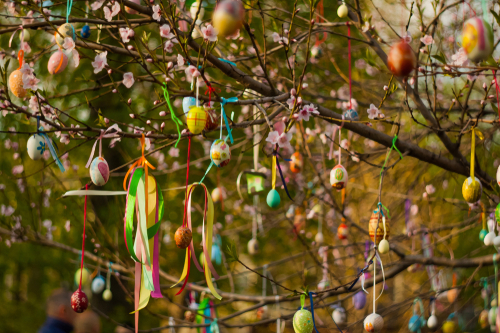 árvore cerejeira com ovos decorados amarrados com fitas nos galhos da árvore - decoração de Páscoa - Assaí Atacadista