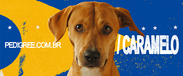 banner Masterfoods com um cachorro caramelo e as cores do Brasil no fundo - fornecedores do Assaí Atacadista
