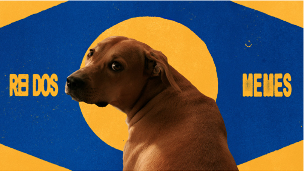 cachorro caramelo em um fundo azul e amarelo - Pedigree - Fornecedores do Assaí Atacadista.tif
