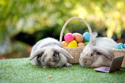 coelhos com uma cesta de ovos da pascoa - curiosidades da páscoa assaí atacadista