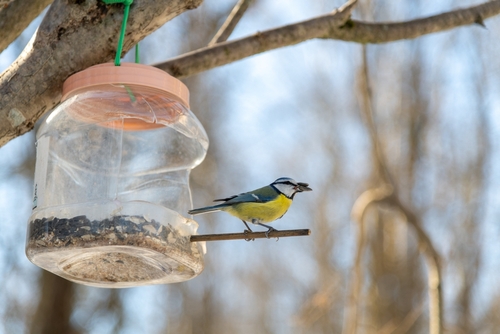 comedouro de plástico com um pássaro - reutilizar embalagens - Assaí Atacadista