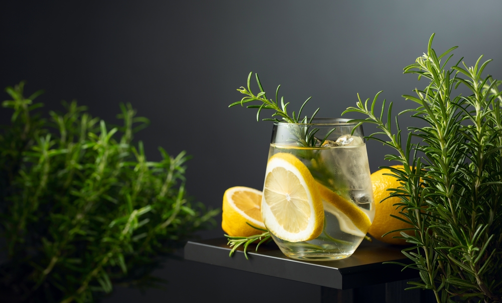 copo com gin tônica - bebidas para presentear - Assaí Atacadista
