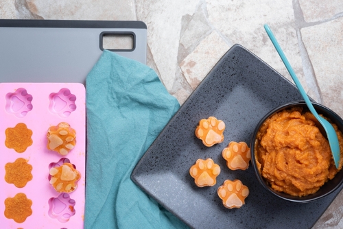creme de abóbora em forminhas de gelo no formato de pata de animal representando sorbet de frutas - petiscos para pets - Assaí Atacadista 
