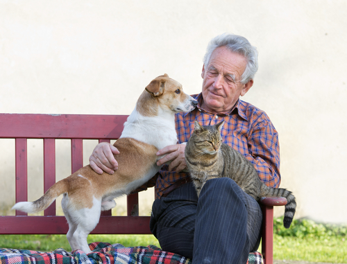 homem branco idoso com um gato e cachorro no colo - como proteger pets no Ano Novo - festa da virada - Assaí Atacadista