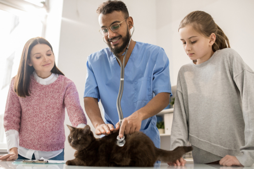 homem negro veterinário examinando gatinho preto com uma mulher e uma criança branca ao lado - economizar com pets - Assaí Atacadista