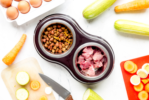 pote de ração com carne e legumes em volta - economizar com pets - Assaí Atacadista