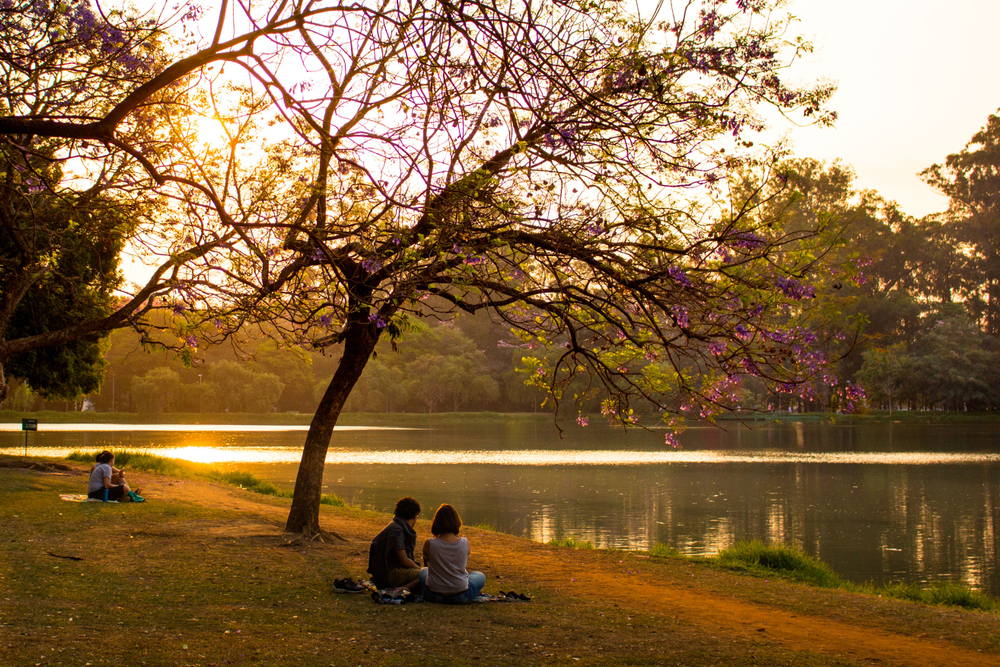 parque com arvore e um lago, com pessoas sentadas na grama - outono - Assaí Atacadista