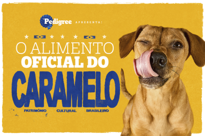 banner com fundo amarelo texto e um cachorro caramelo com a língua para fora - Pedigree - Fornecedores do Assaí Atacadista