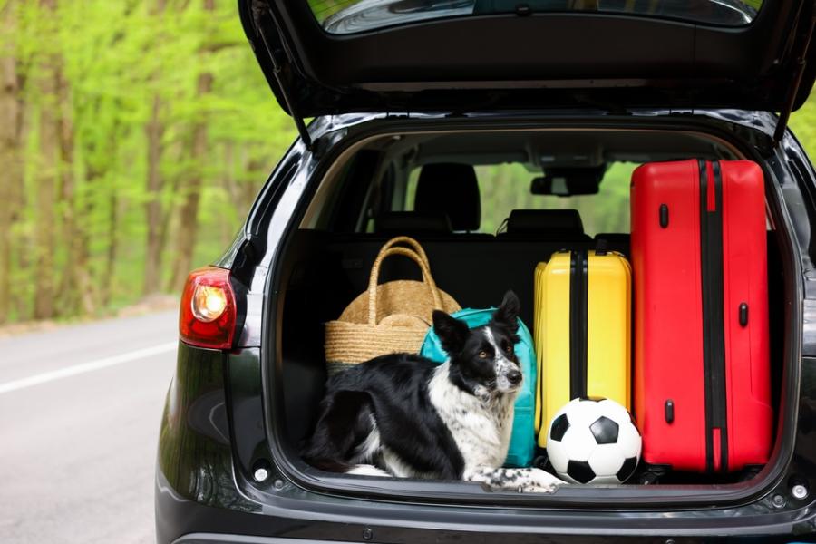 carro preto com porta malas aberto com um cachorro e malas de viagem de carro-Assaí Atacadista