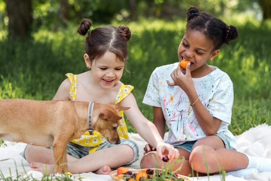 duas crianças meninas fazendo um piquenique em um parque-alimentação infantil-Assaí Atacadista