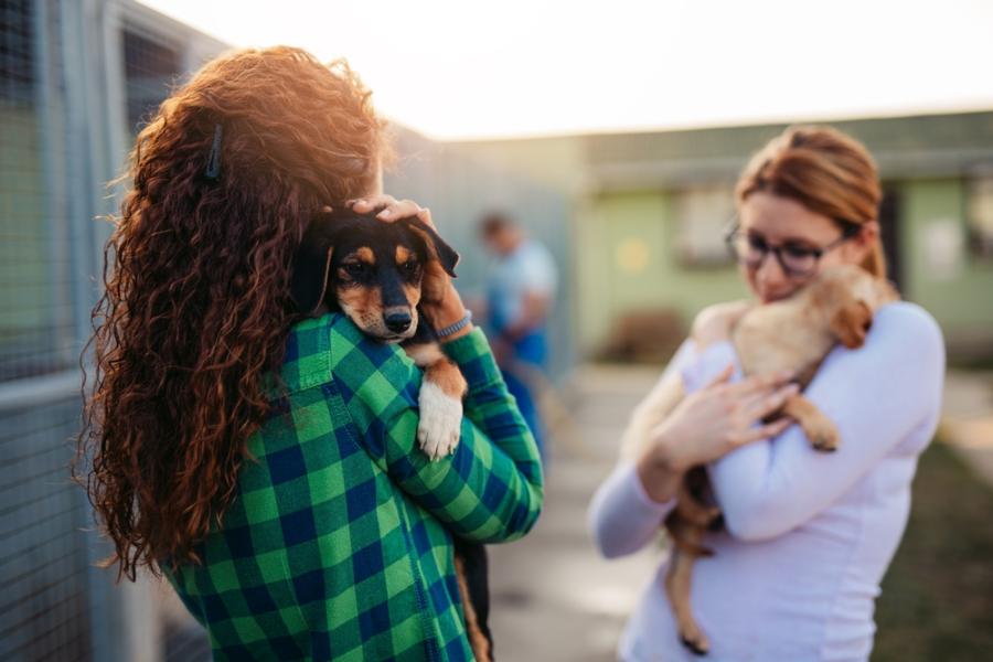 duas mulheres abraçando cachorros no colo - Especial Festival Assaí Pets - Assaí Atacadista