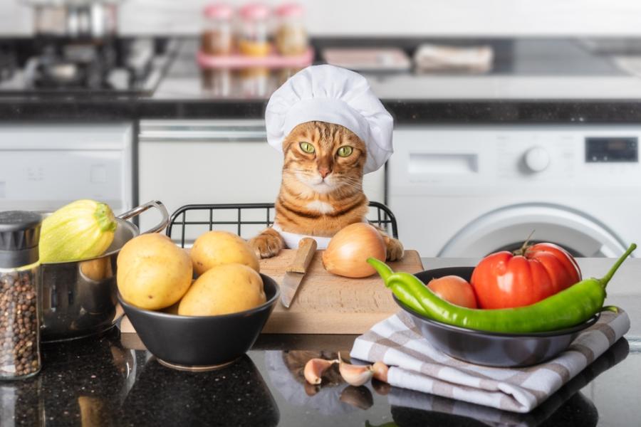 gato laranja com touca de cozinheiro em uma bancada de cozinha com alimentos - Assaí Atacadista - alimentos seguros para pets