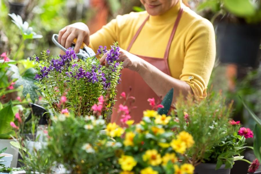 pessoa cuidando de flores - hobby como negócio - Assaí Atacadista