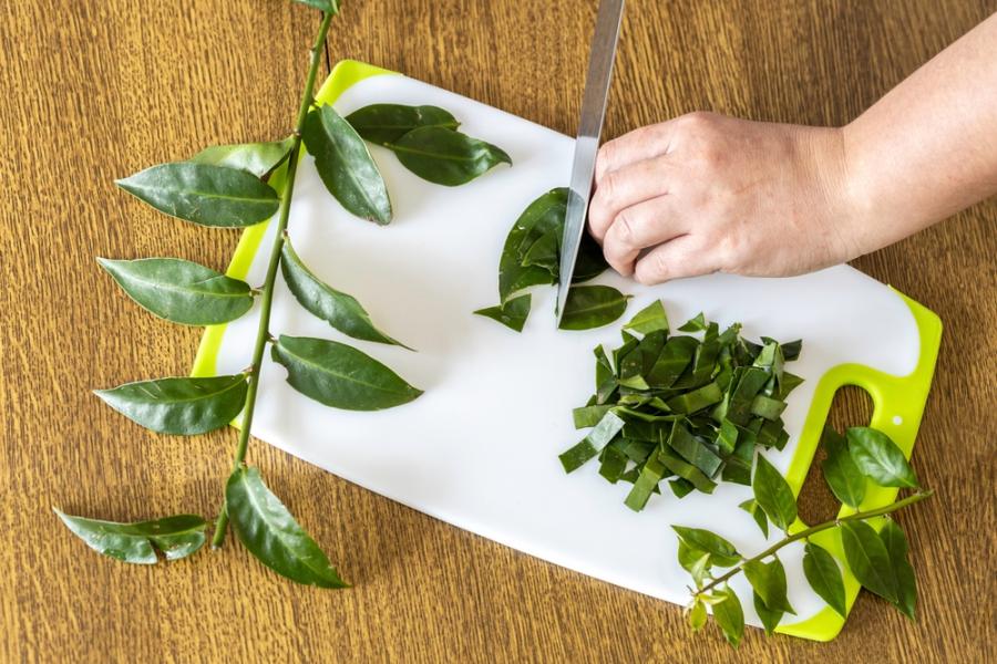 tábua de cozinha com folhas de ora-pro-nobis sendo cortadas por uma mão com faca - Assaí Atacadista - PANCs