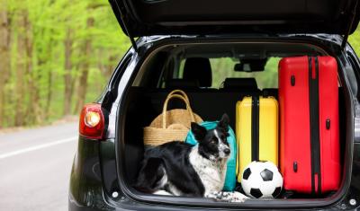carro preto com porta malas aberto com um cachorro e malas de viagem de carro-Assaí Atacadista