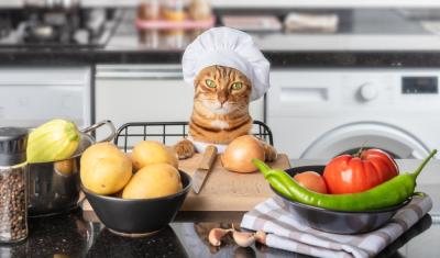 gato laranja com touca de cozinheiro em uma bancada de cozinha com alimentos - Assaí Atacadista - alimentos seguros para pets