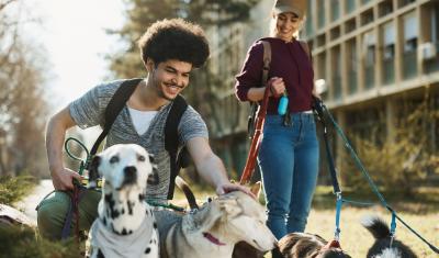 jovens felizes passeando com cães - Assaí Atacadista - pet sitter