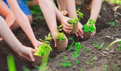 mãos de pessoas plantando árvores na terra - Ações meio ambiente - Assaí Atacadista