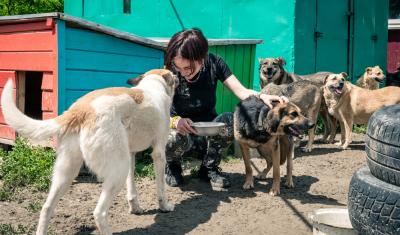 pessoa branca brincando com cachorros em um abrigo - Assaí Atacadista - animal abandonado