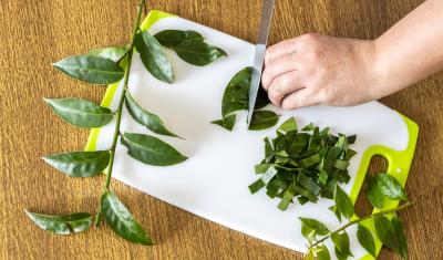 tábua de cozinha com folhas de ora-pro-nobis sendo cortadas por uma mão com faca - Assaí Atacadista - PANCs