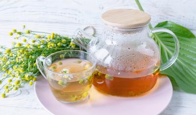 xícara e bule transparente com chá e folhas - Assaí Atacadista - receitas de chás