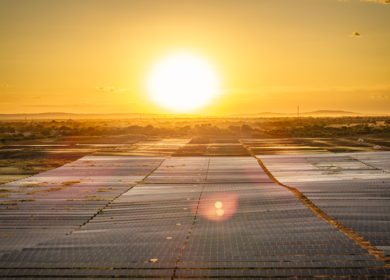 Três usinas que fazem parte do complexo Sol de Jaíba auxiliarão o atacadista a otimizar recursos e mitigar os impactos no meio ambiente – Divulgação: Auren Energia