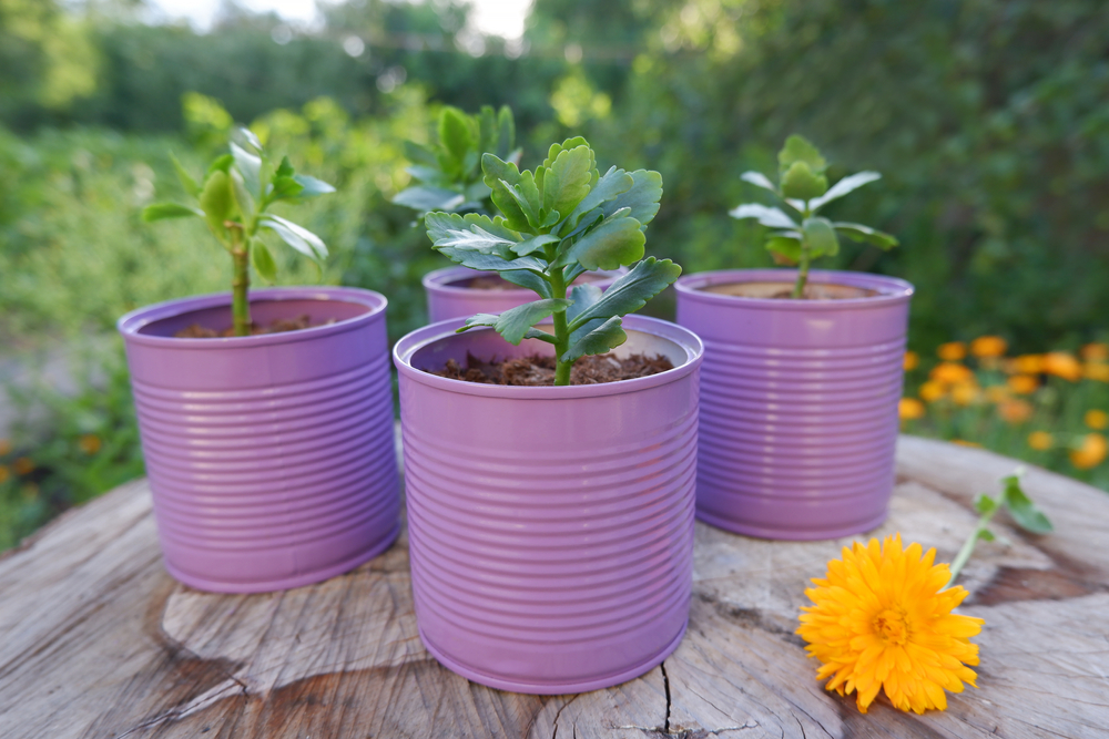 vaso de lata de metal com plantas dentro - artesanato junino - Assaí Atacadista