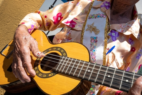 viola instrumento musical para festa de são joão- assaí atacadista